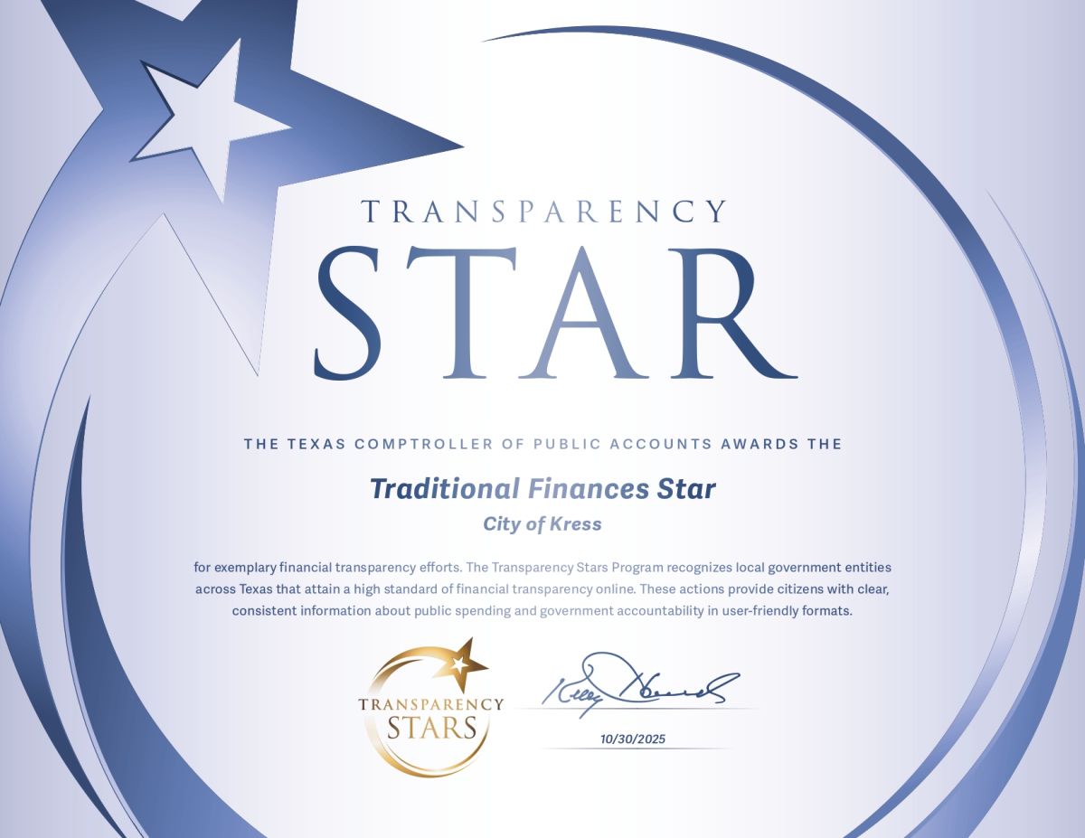 Transparency Stars Award for Traditional Finances Award