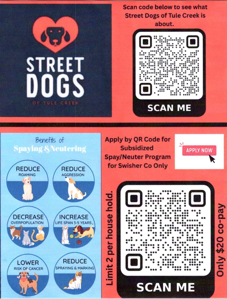 Street dogs flyer spay and neuter program for Swisher Co. only
